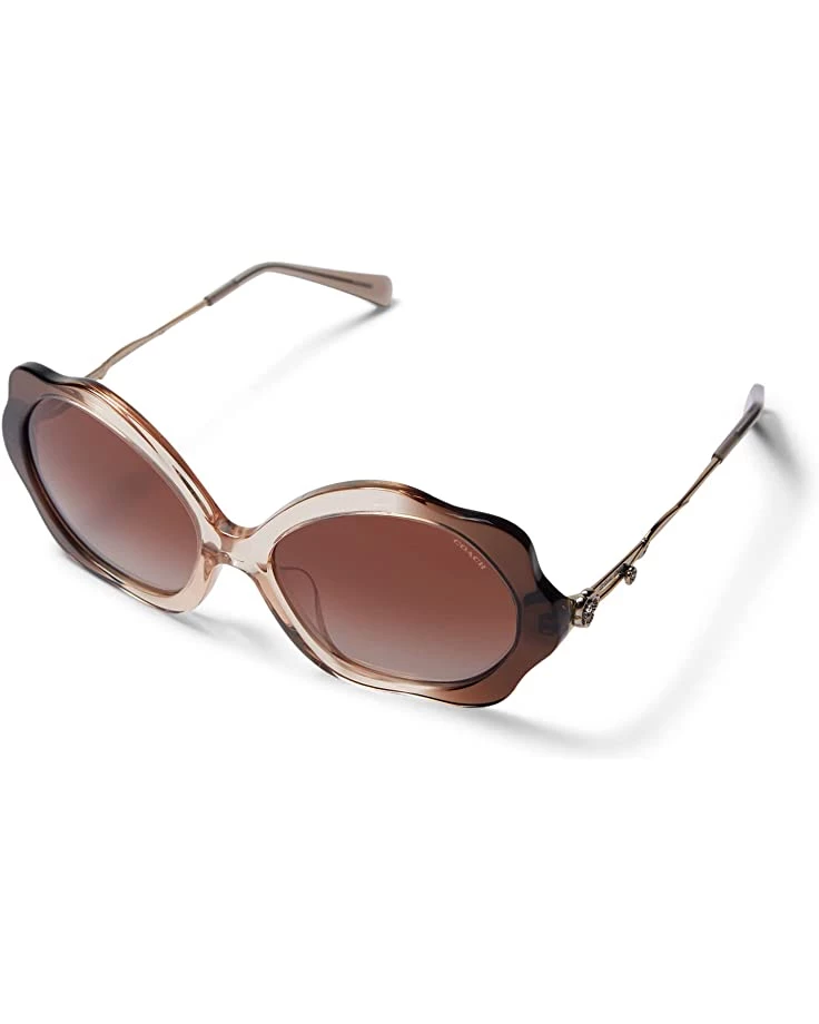 COACH HC8346BU | Sunglasses 8 COACH HC8346BU | Sunglasses - Image 6