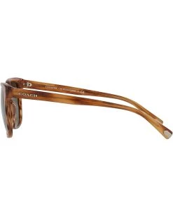 COACH 0HC8313U | Sunglasses -COACH Sales Store 51AfrDCSXHL. AC SR736920