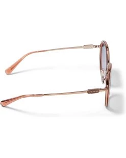 COACH HC7141 | Sunglasses -COACH Sales Store 51EOAChKzmL. AC SR736920