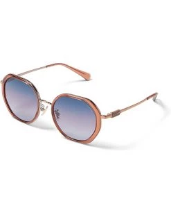 COACH HC7141 | Sunglasses