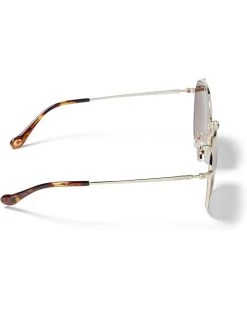 COACH HC7134 | Sunglasses -COACH Sales Store 51gaUskajGL. AC SR736920