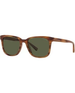 COACH 0HC8313U | Sunglasses