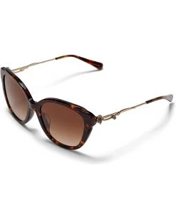 COACH HC8347BU | Sunglasses -COACH Sales Store 51zivJRZ9CL. AC SR736920