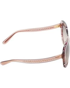 COACH HC8323U | Sunglasses -COACH Sales Store 61BvFjqYgLL. AC SR736920