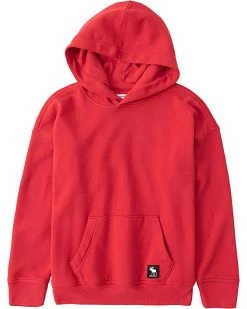abercrombie kids Easy Fit Logo Pop Over Hoodie (Little Kids/Big Kids) | Hoodies & Sweatshirts -COACH Sales Store 71oIdsPP6cS. AC SR736920