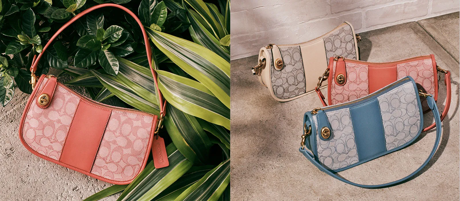 COACH Sales Store -COACH Sales Store 2545